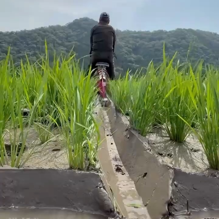 loop-img